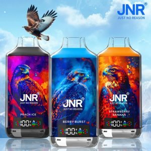 24 ml e-liquid jnr falcon 18000