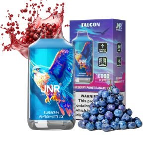 blueberry pomegranate ice jnr falcon 16000