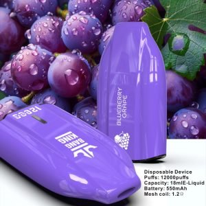 blueberry grape puff bang king 12000