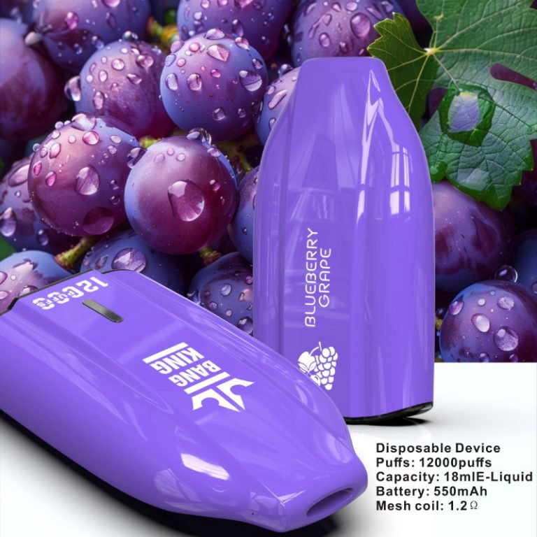 blueberry grape puff bang king 12000