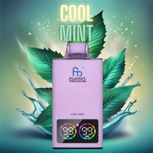 cool mint randm tornado 35000 vape