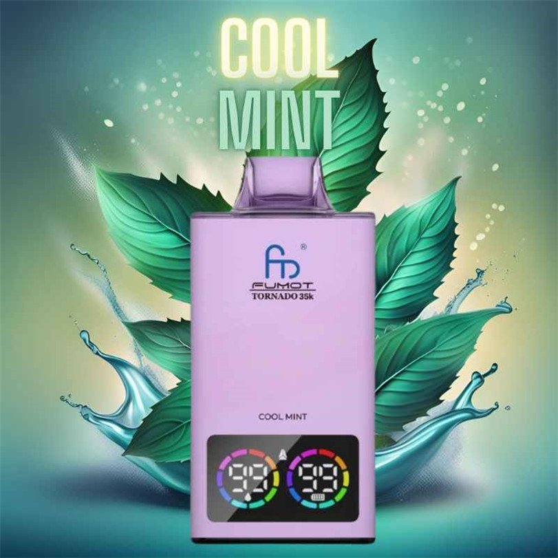 cool mint randm tornado 35000 vape
