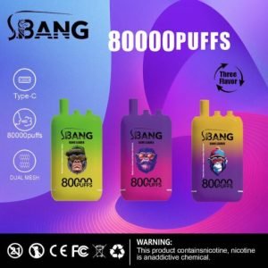 bang leader 80000 3 in 1 random flavors