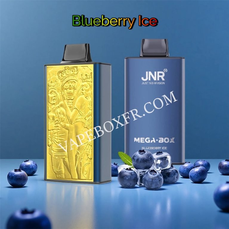 Blueberry Ice 25k Puff Jnr Mega Box 25000 Vpfrccjmb25000