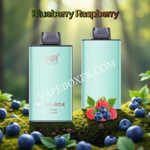 Blueberry Raspberry 25k Puff Jnr Mega Box 25000 Vpfrccjmb25000