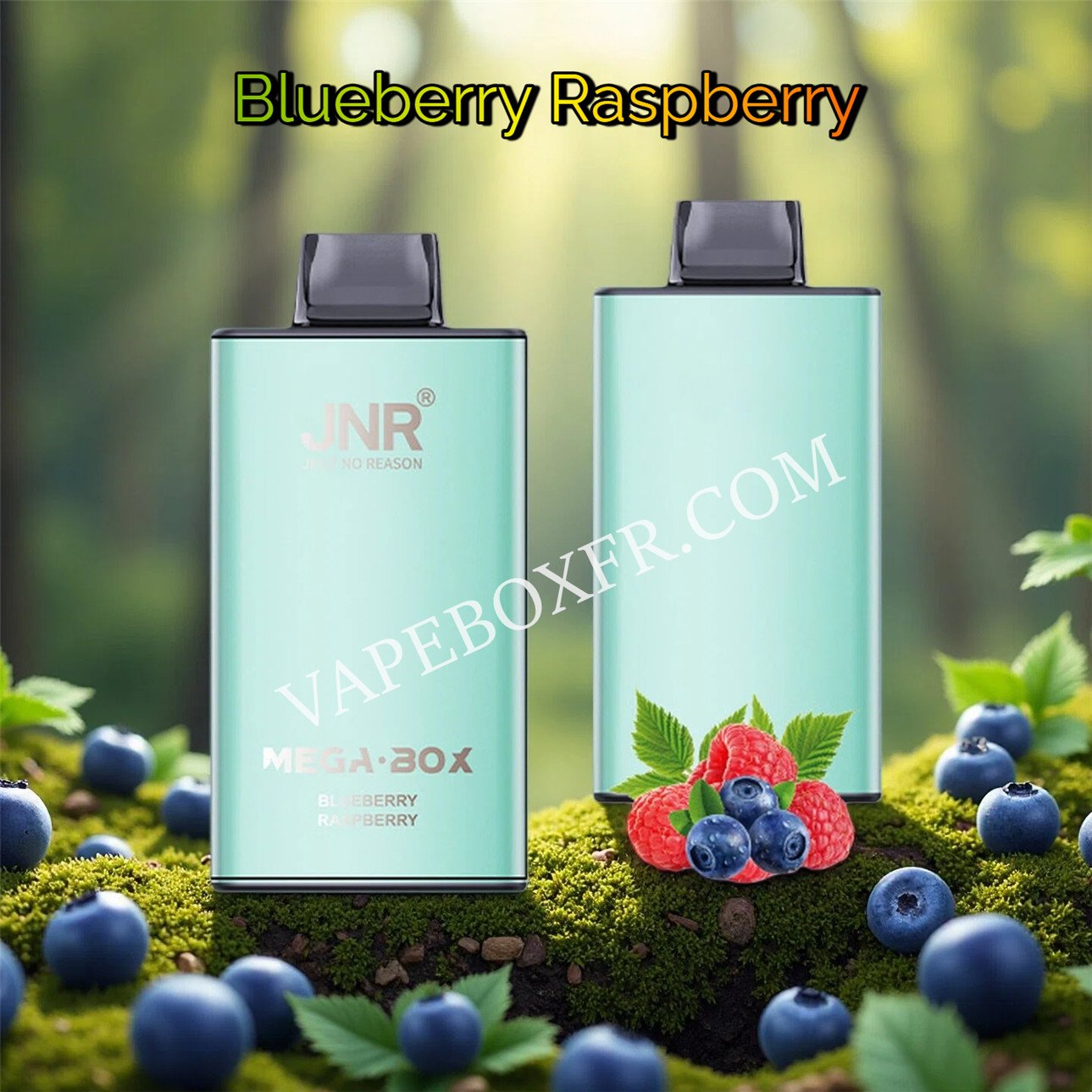 Blueberry Raspberry 25k Puff Jnr Mega Box 25000 Vpfrccjmb25000