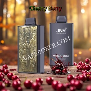 Cherry Berry 25k Puff Jnr Mega Box 25000 Vpfrccjmb25000