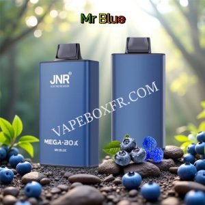 Mr Blue 25k Puff Jnr Mega Box 25000 Vpfrccjmb25000